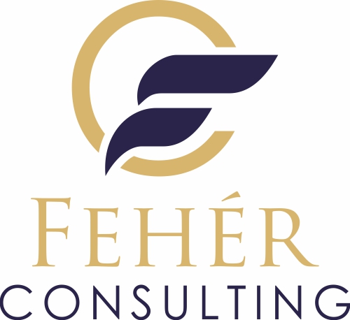 Feuring Logo Inicio - Fehér Constulting